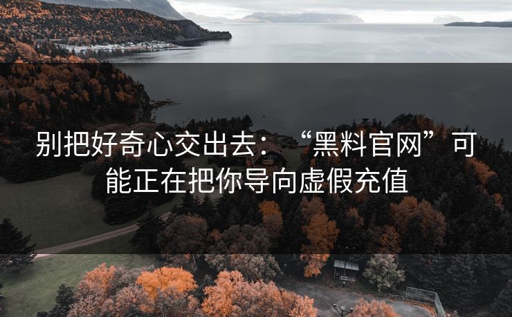 别把好奇心交出去：“黑料官网”可能正在把你导向虚假充值