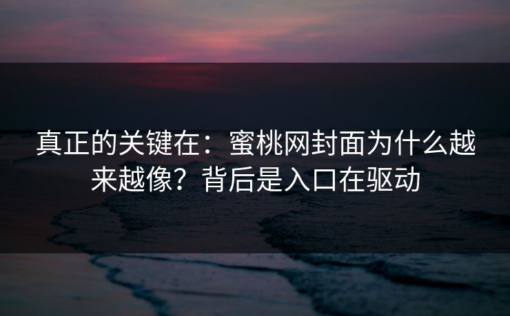 真正的关键在：蜜桃网封面为什么越来越像？背后是入口在驱动