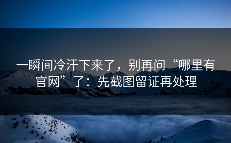 一瞬间冷汗下来了,别再问“哪里有官网”了:先截图留证再处理 一瞬间冷汗下来了,别再问“哪里有官网”了:先截图留证再处理