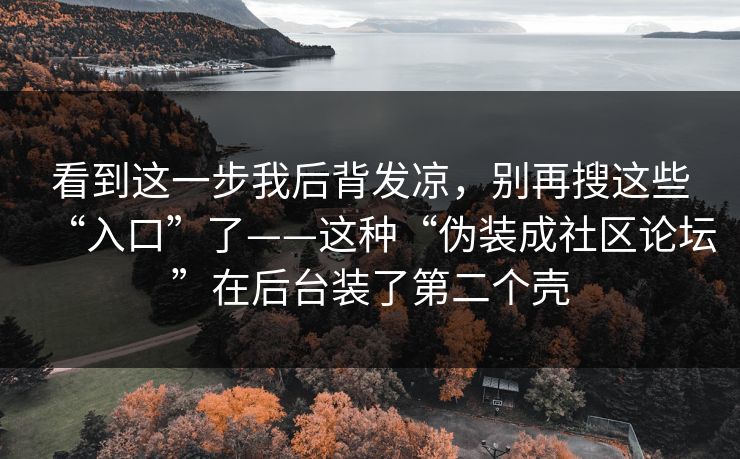 看到这一步我后背发凉,别再搜这些“入口”了——这种“伪装成社区论坛”在后台装了第二个壳 看到这一步我后背发凉,别再搜这些“入口”了——这种“伪装成社区论坛”在后台装了第二个壳