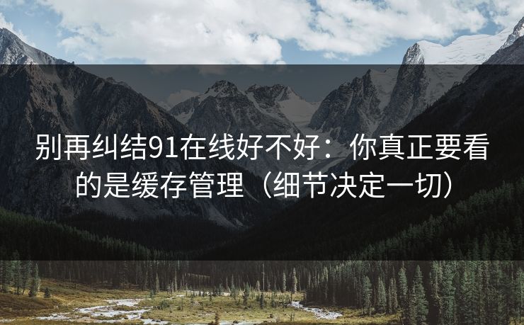 别再纠结91在线好不好：你真正要看的是缓存管理（细节决定一切）